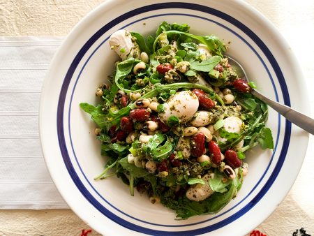 Greek salad with giant beans and grape leaf pest
