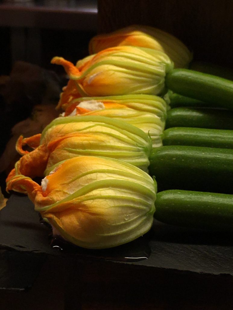 Zucchini