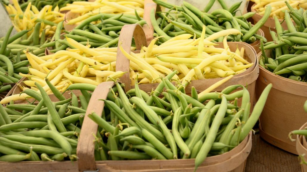 Green Beans Bring Greek Summer to Salads, Stews, and More
