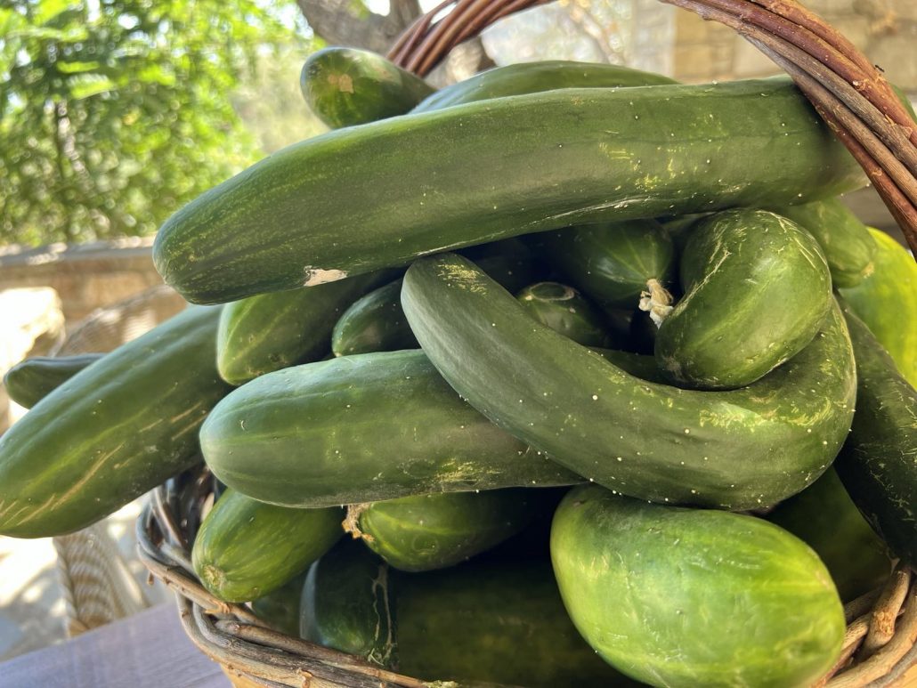 How to Use All Your Cucumbers in Salads, Dips, Main Courses, and More